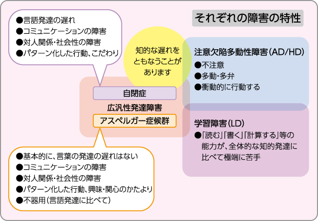 障害の特徴